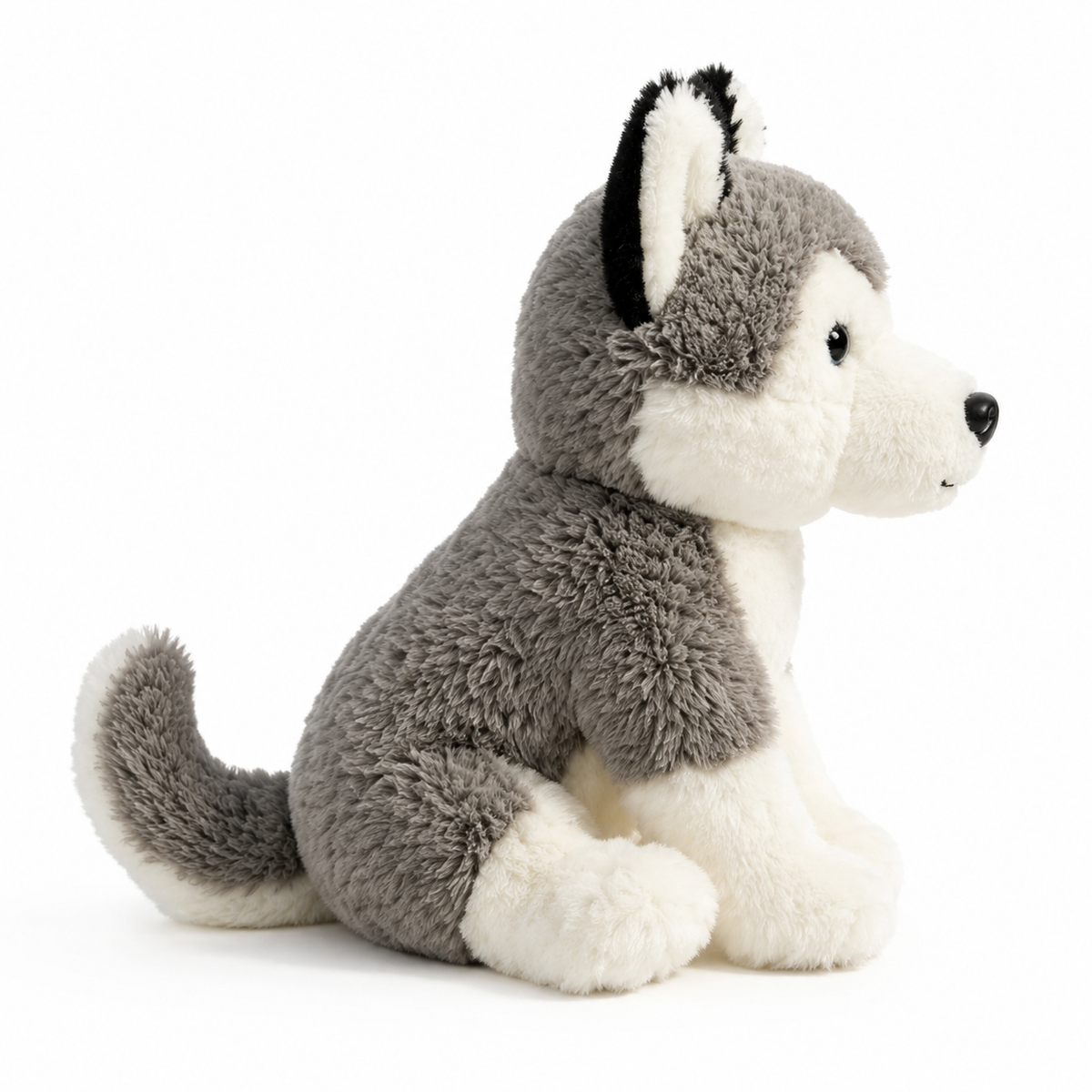 Arlo the Husky