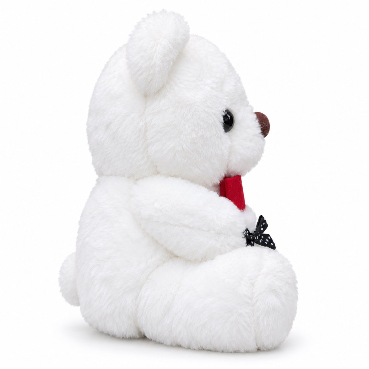 Snowy the Teddy