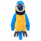 Rio the Macaw