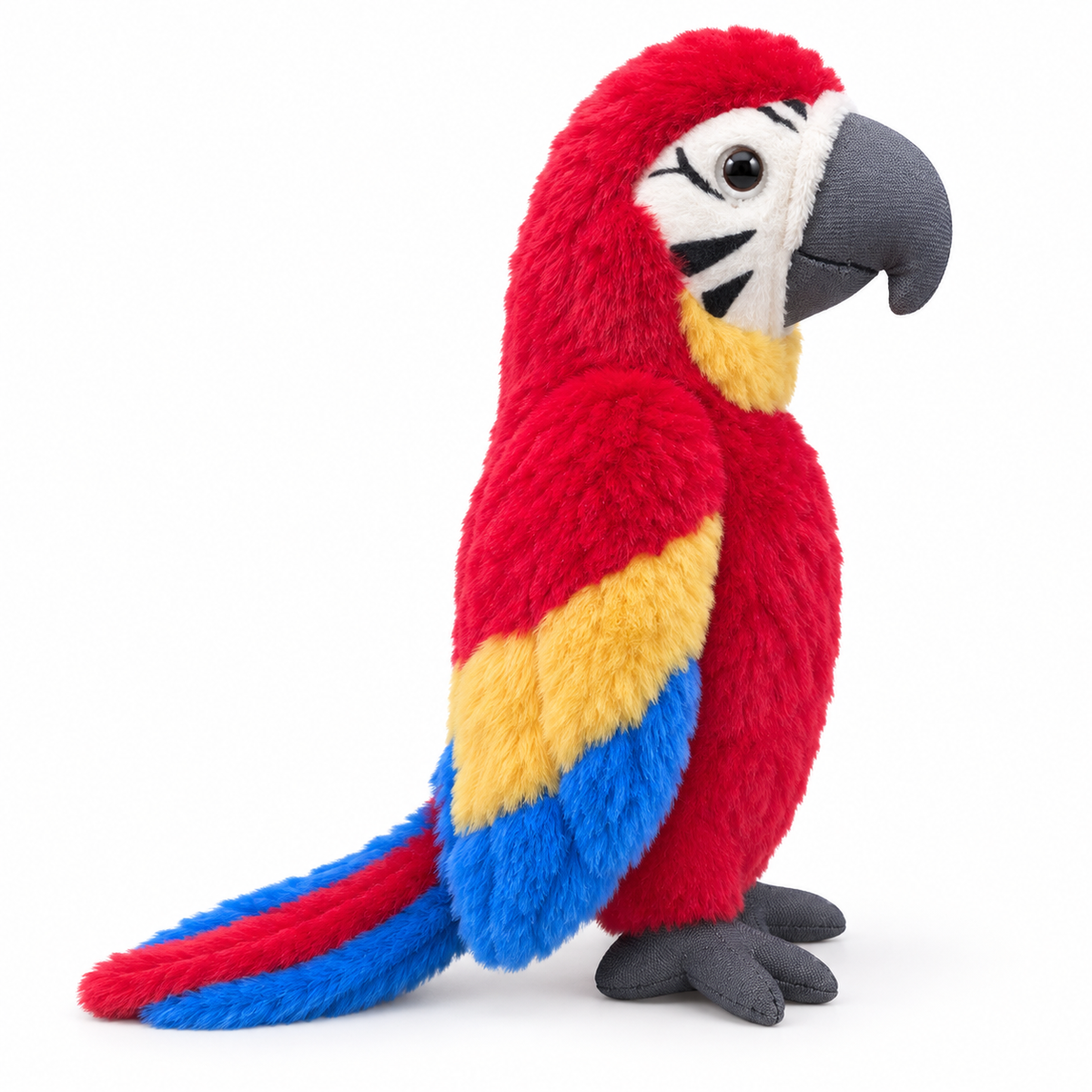 Scarlet the Macaw