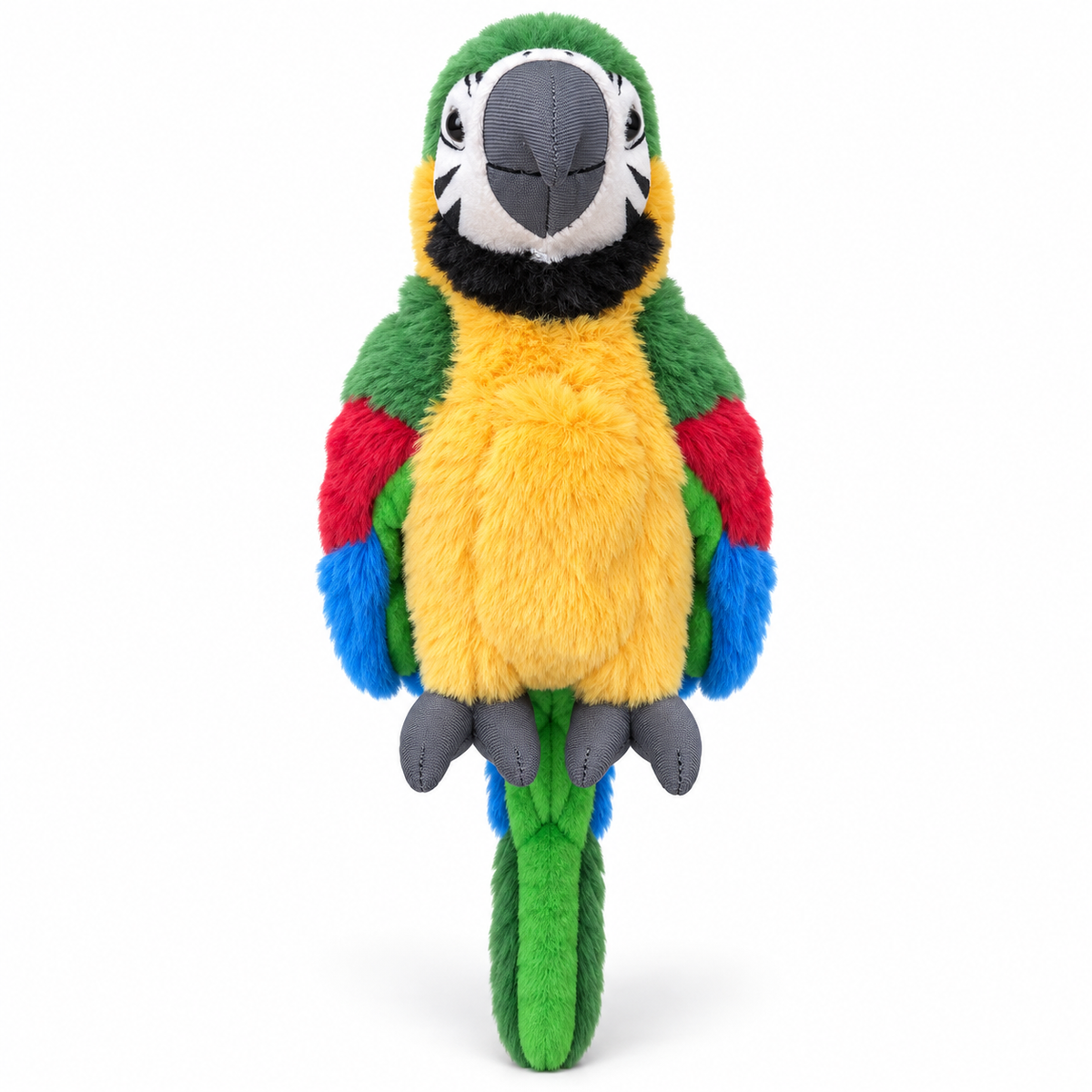 Mango the Macaw
