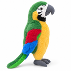 Mango the Macaw