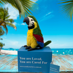 Mango the Macaw