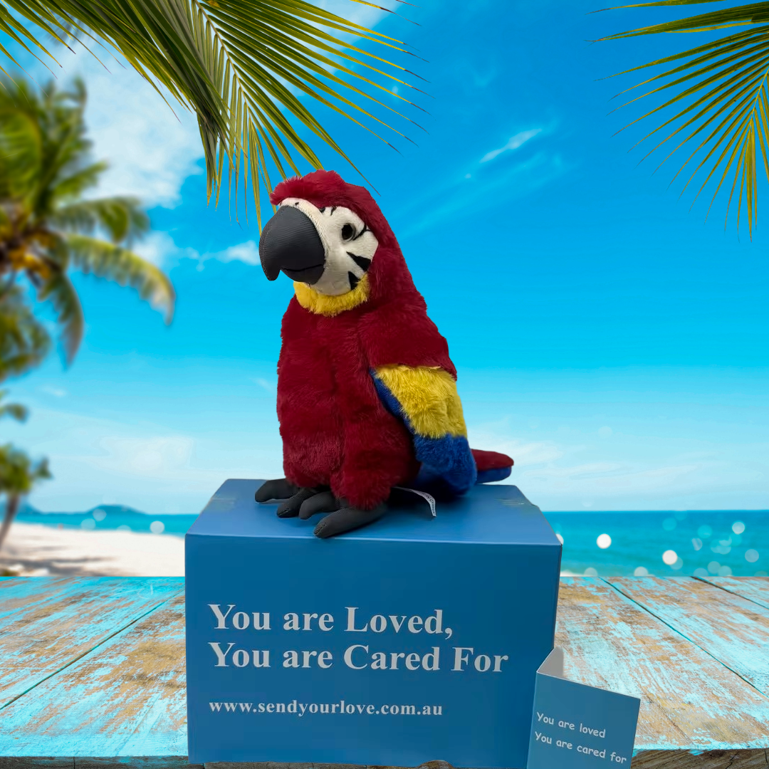 Scarlet the Macaw