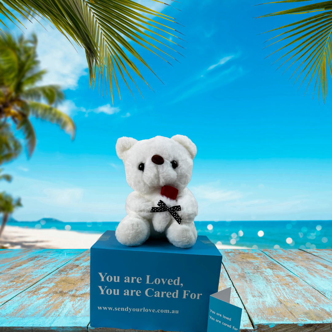 Snowy the Teddy