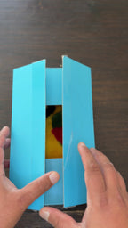 Mango the Macaw