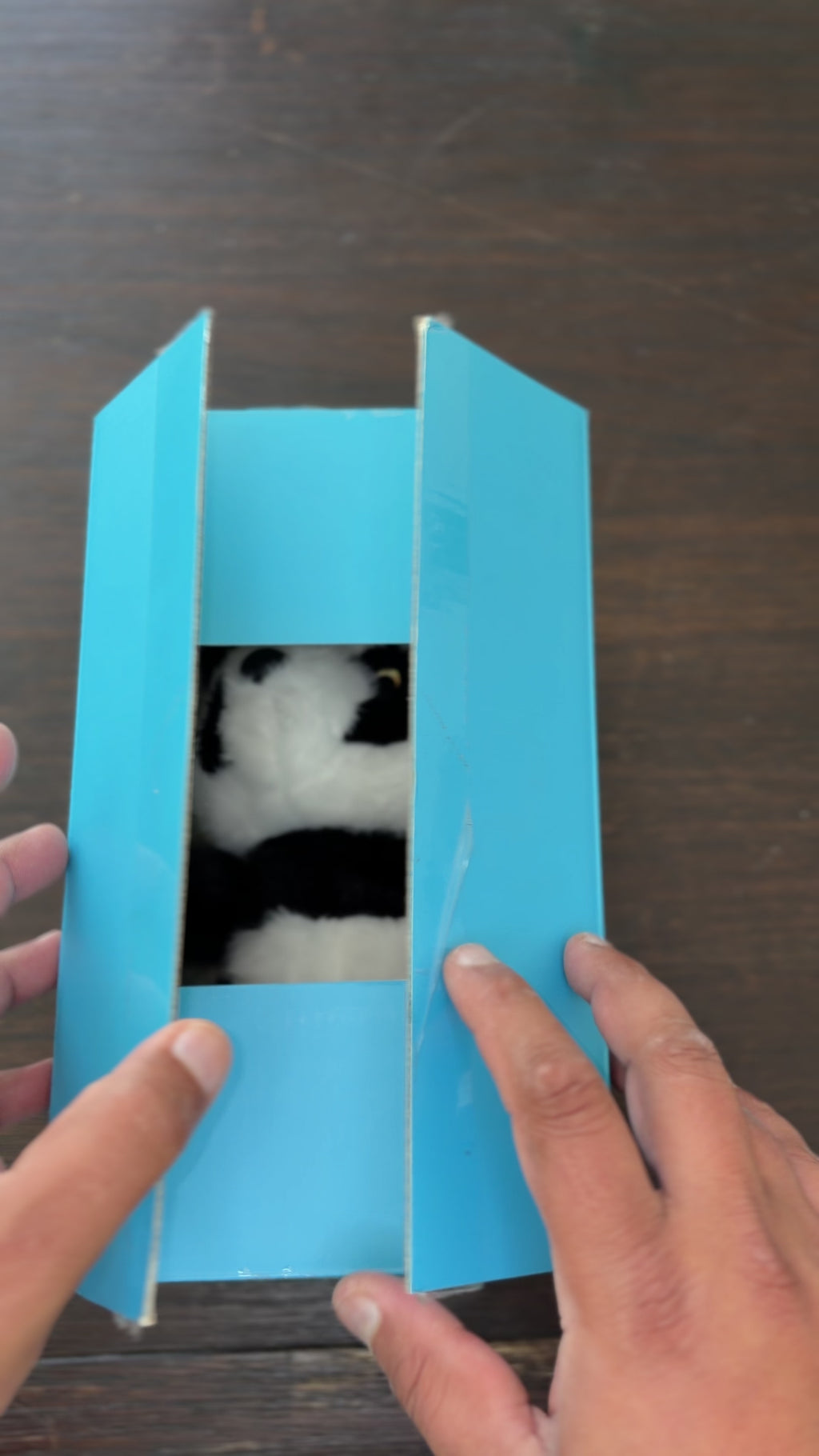 Bao the Panda